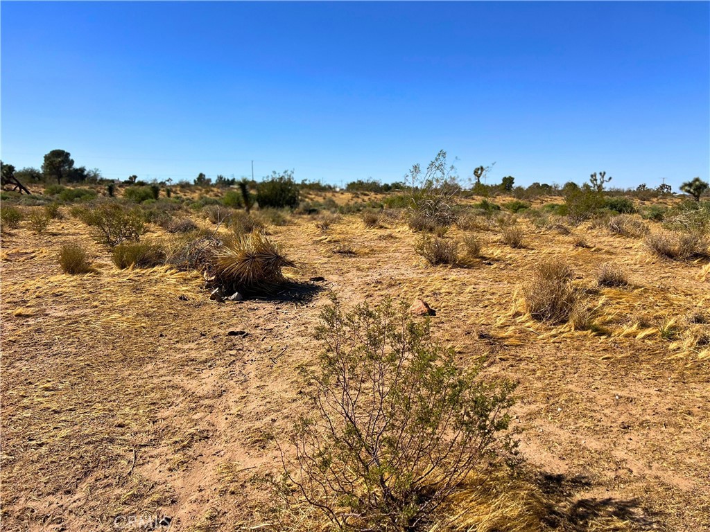 MLS #OC24174508 img 10