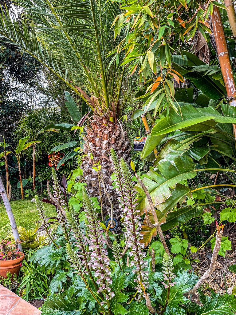 6377d45f Fcc8 4e86 87fc A2d0536fb027