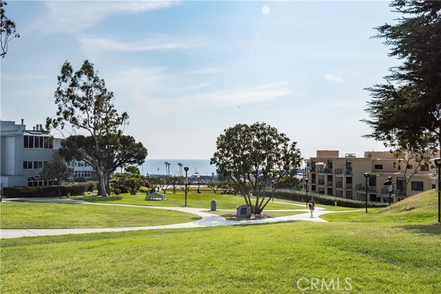 Czuliger Park overlooks the Redondo Pier. Great place to practice yoga, walk your dog, or watch the susnet.