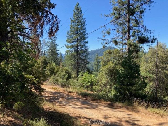 0 Tawny, Lakehead, CA, 96051 0 Tawny, Lakehead, CA, 96051