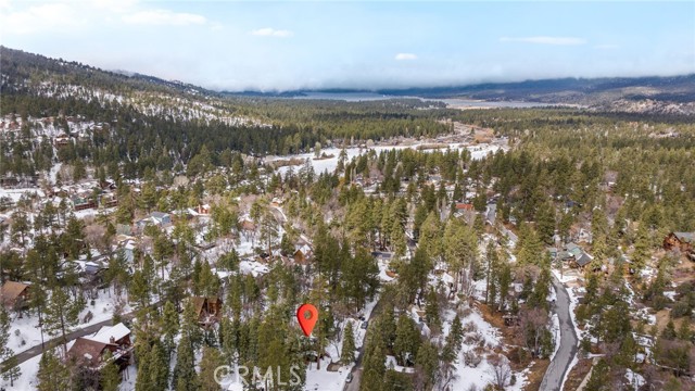Detail Gallery Image 4 of 32 For 43339 Deer Canyon Rd, Big Bear Lake,  CA 92315 - 2 Beds | 2 Baths