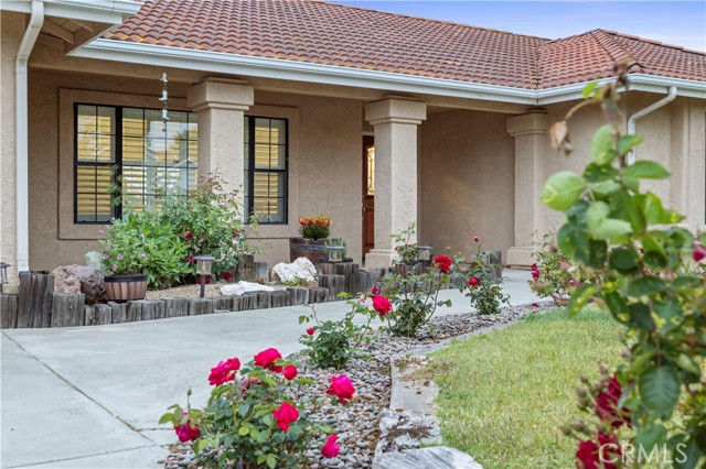 Detail Gallery Image 7 of 42 For 2489 Beechwood Dr, Paso Robles,  CA 93446 - 3 Beds | 2 Baths