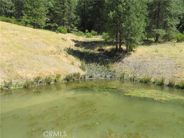 0 Barns Ranch Road, Covelo, California 95428, ,Land,For Sale,0 Barns Ranch Road,CRSN23031018