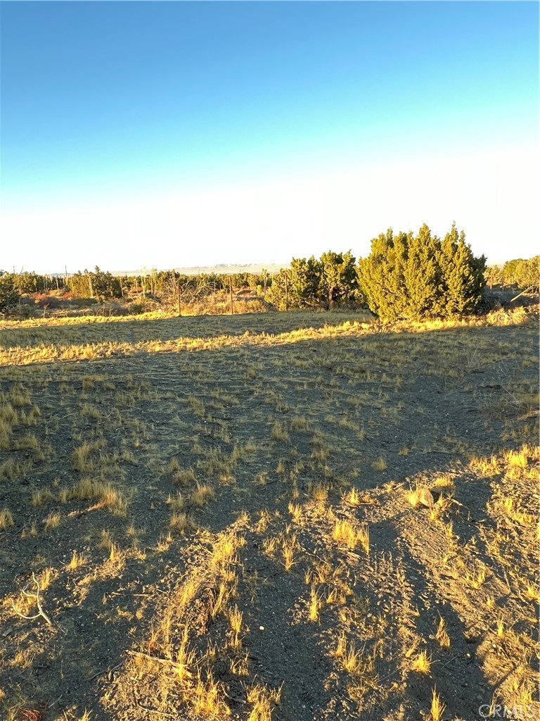 MLS #IV24232960 image #6