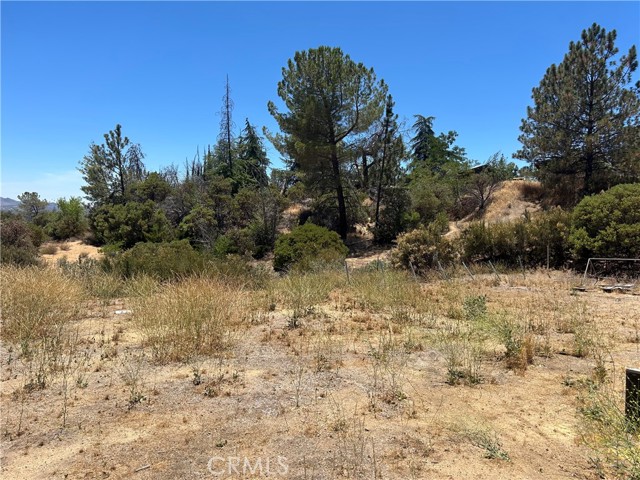 38111 Manzanita Mountain Lane, Anza CA: https://media.crmls.org/medias/638505b2-9beb-4af9-aba0-637d67639e05.jpg