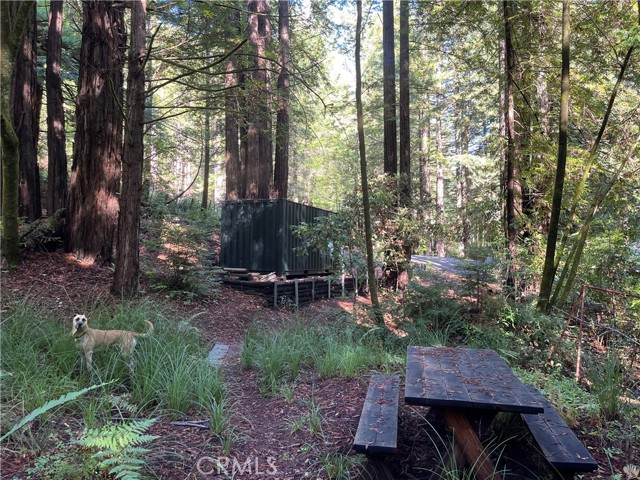 Detail Gallery Image 35 of 40 For 16125 Bittner Rd, Occidental,  CA 95465 - 4 Beds | 2 Baths