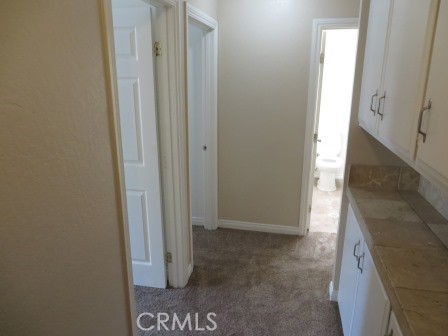 Detail Gallery Image 13 of 43 For 1321 W Latham Ave, Hemet,  CA 92543 - 3 Beds | 2/1 Baths