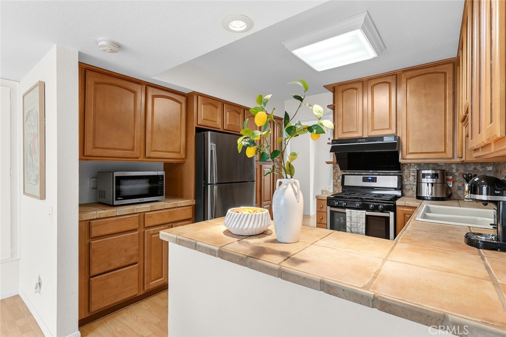10541 Caminito Basswood - photo 12