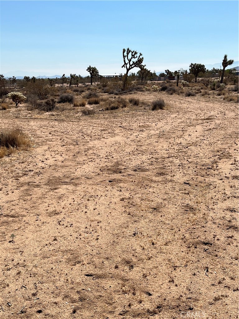 MLS #JT25190838 image #6