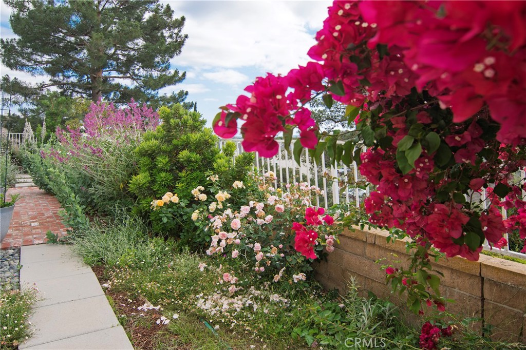 63929c21 Cbb9 45f2 A873 465f413aa60c