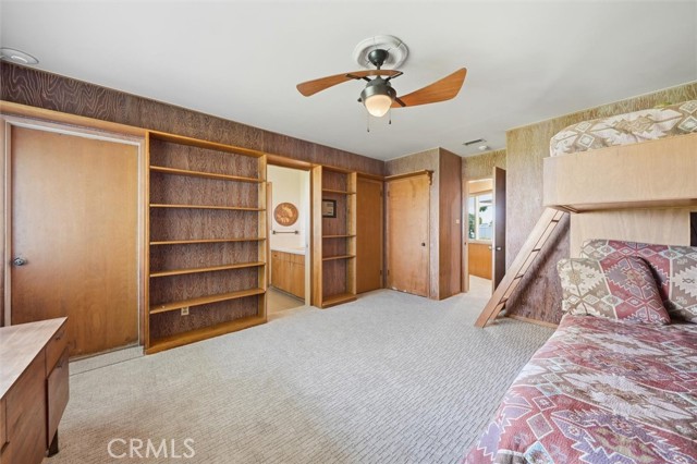 Image 42 of 66 For 100 Saddleback