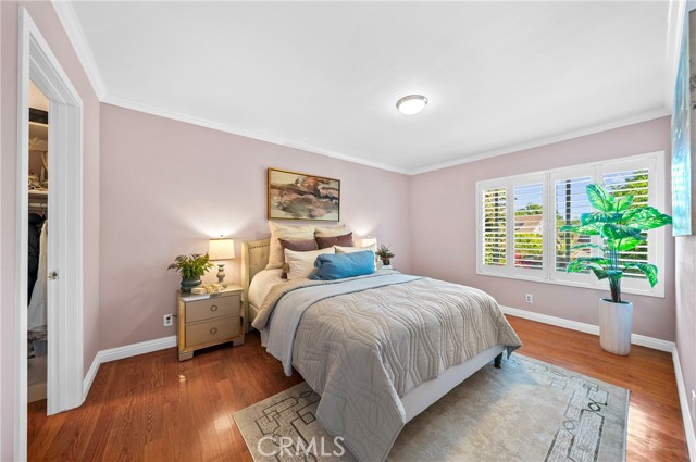 Image 21 of 42 For 6 Blazing Star