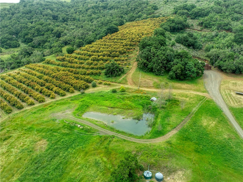 Detail Gallery Image 49 of 71 For 7515 Santa Rosa Creek Rd, Cambria,  CA 93428 - 2 Beds | 1 Baths