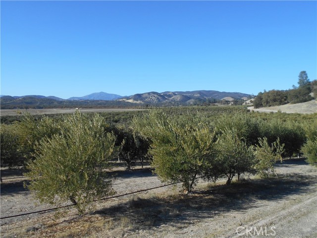 Detail Gallery Image 66 of 75 For 61969 Argyle Rd, King City,  CA 93930 - – Beds | – Baths