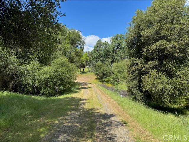 4516 Hirsch Road, Mariposa CA: https://media.crmls.org/medias/63ac5310-1651-4e5e-b137-20b4b1456cec.jpg