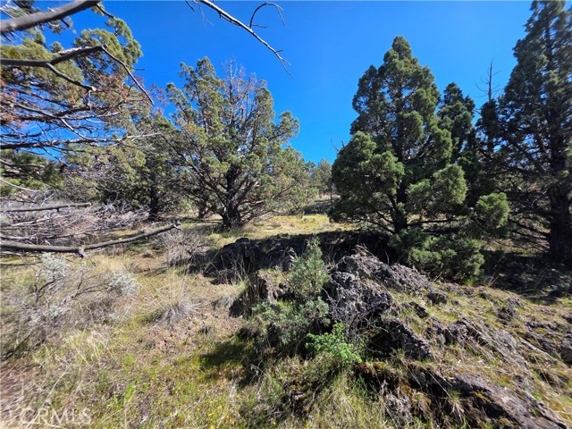 Detail Gallery Image 2 of 20 For 39 Blk 8 Lot 39 Katrina Dr Dr, Montague,  CA 96064 - – Beds | – Baths