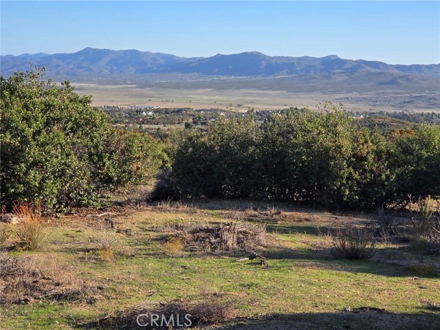 Front Image Thumbnail for CRSW25230587