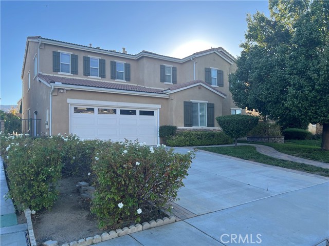 Front Image Thumbnail for CRSR26067553