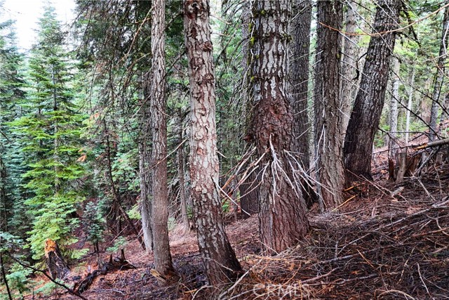 Detail Gallery Image 13 of 14 For 1100 Cleghorn Dr, Quincy,  CA 95971 - – Beds | – Baths