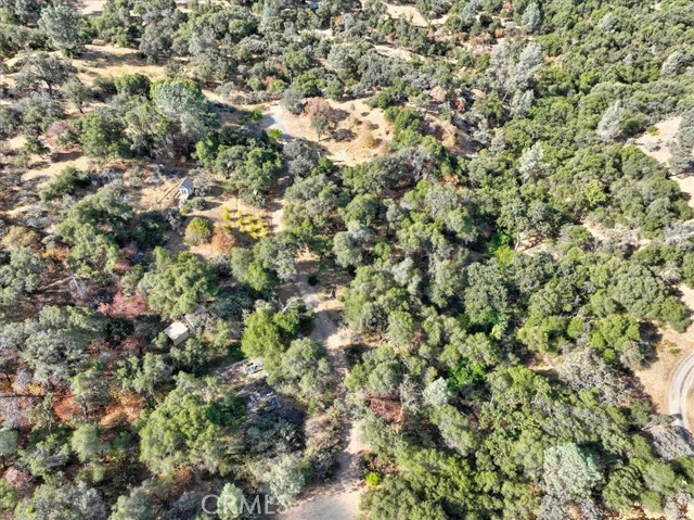 Detail Gallery Image 38 of 41 For 3279 Quail Run Rd, Mariposa,  CA 95338 - – Beds | – Baths