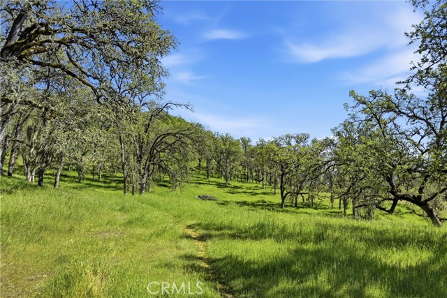 Detail Gallery Image 5 of 14 For 726 Park, Lakeport,  CA 95453 - – Beds | – Baths