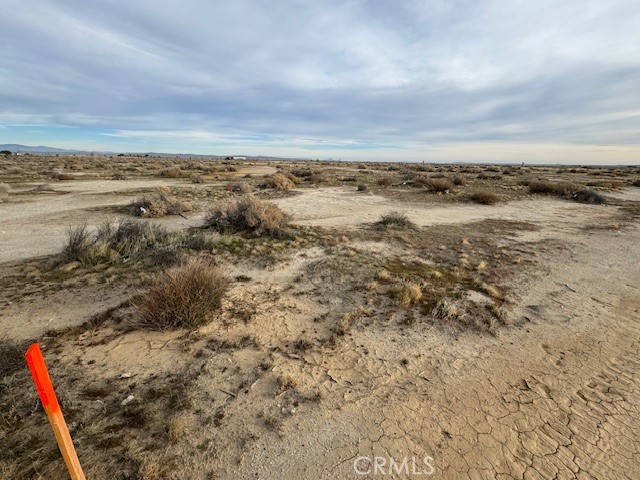 MLS #SR25278358 image #4