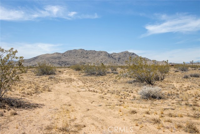 Detail Gallery Image 20 of 24 For 2674 Manana Ave, Joshua Tree,  CA 92252 - – Beds | – Baths