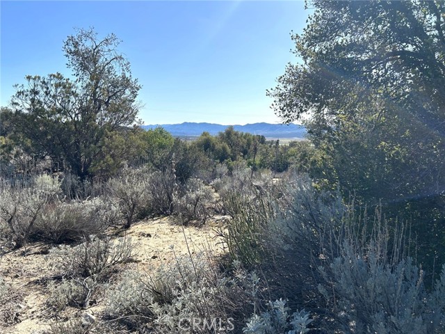 Detail Gallery Image 10 of 29 For 0 Oak Rd, Anza,  CA 92539 - – Beds | – Baths