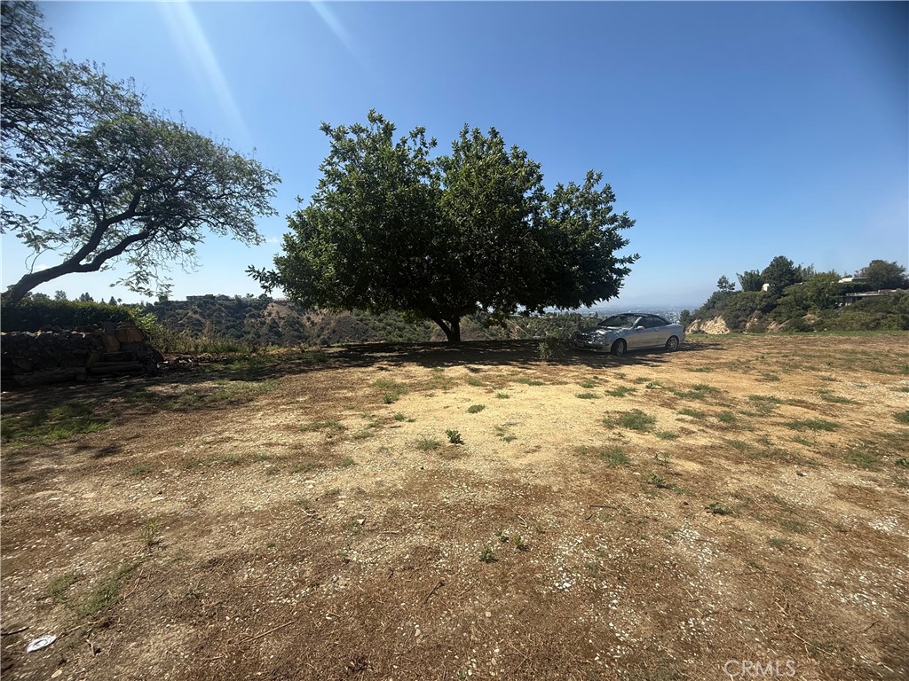 MLS #SR26134771 image #4