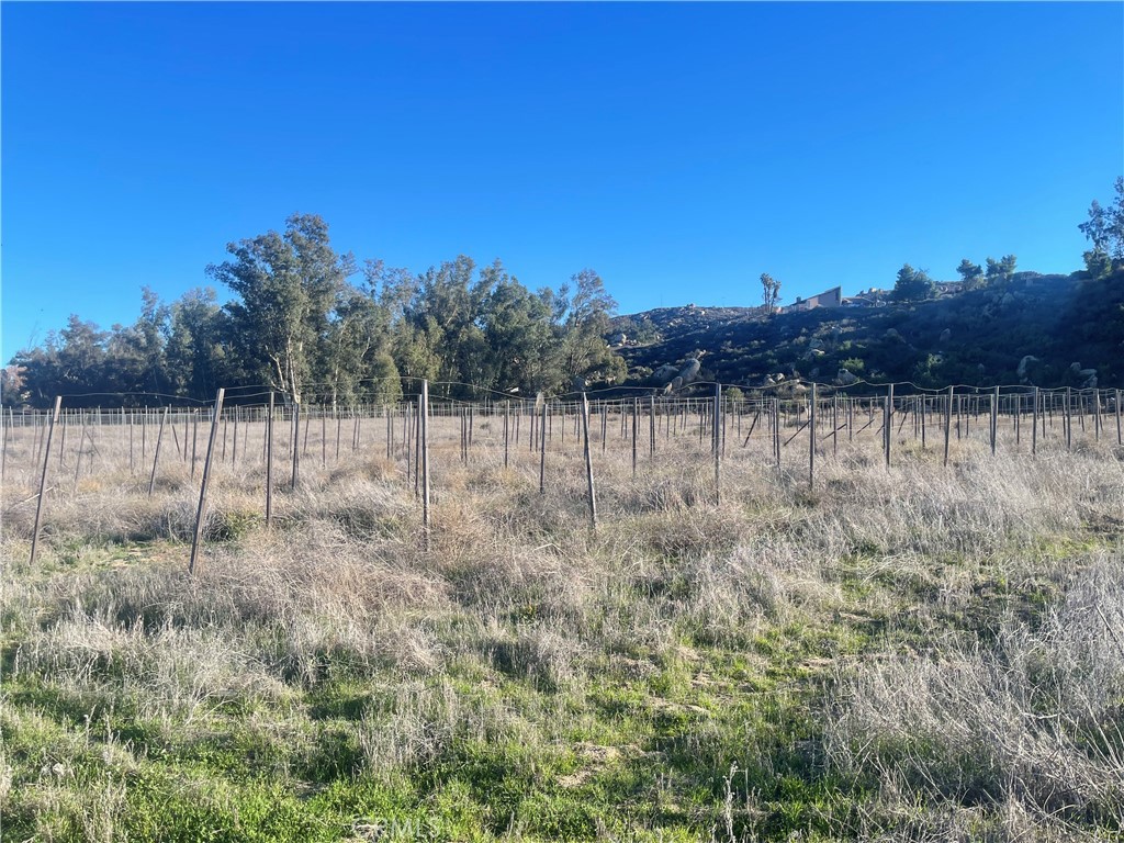 MLS #WS25276306 image #13