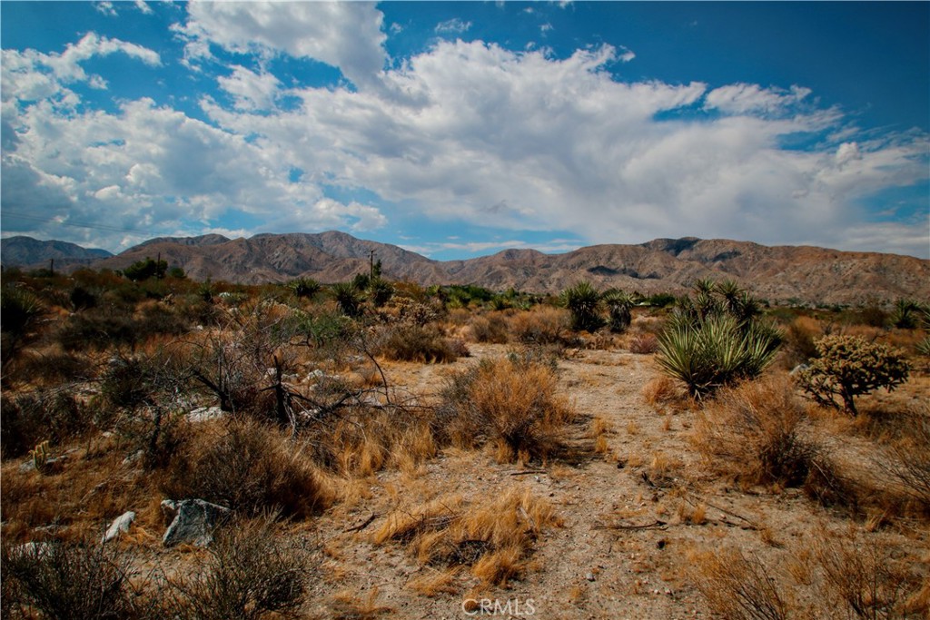 MLS #RS25195860 image #12