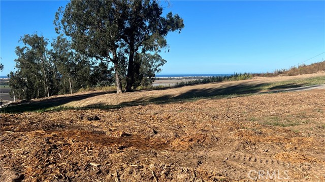 Detail Gallery Image 3 of 16 For 0 Castle Bluff Lot 4, Arroyo Grande,  CA 93420 - – Beds | – Baths