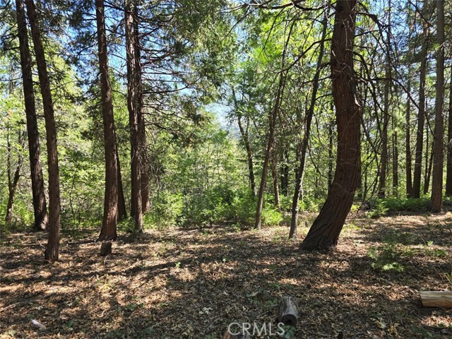 0 Lovers Lane, Cedarpines Park CA: https://media.crmls.org/medias/63ea76ef-efab-46ae-b09b-42d178ba0c43.jpg