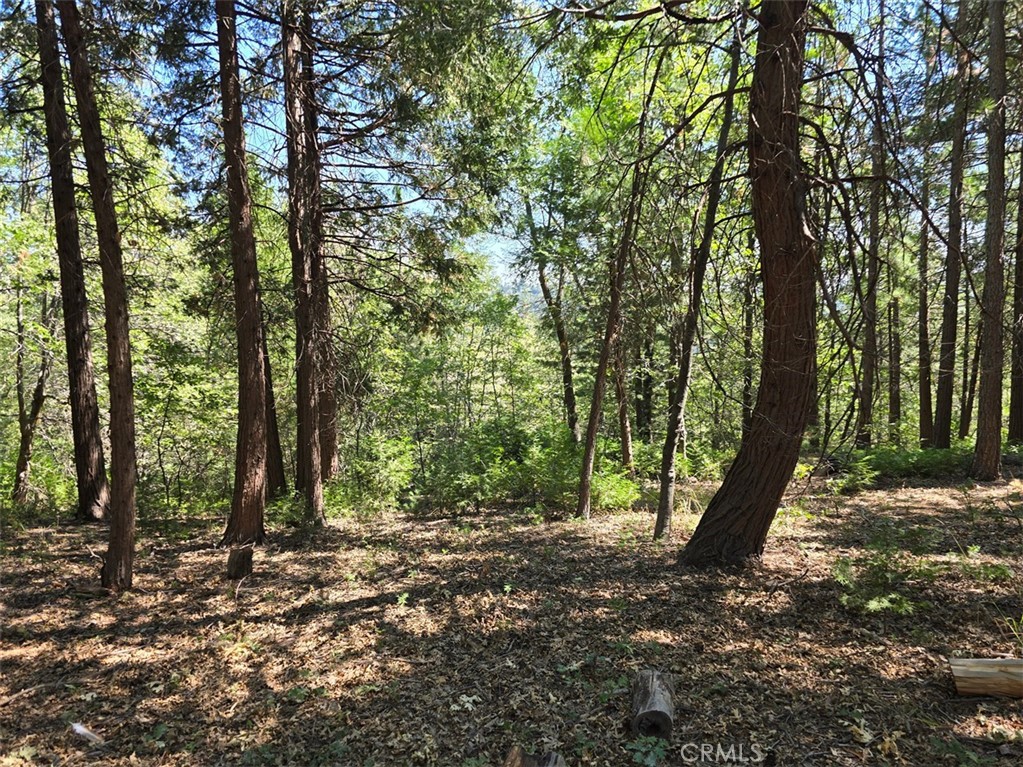 MLS #IG25181916 image #6