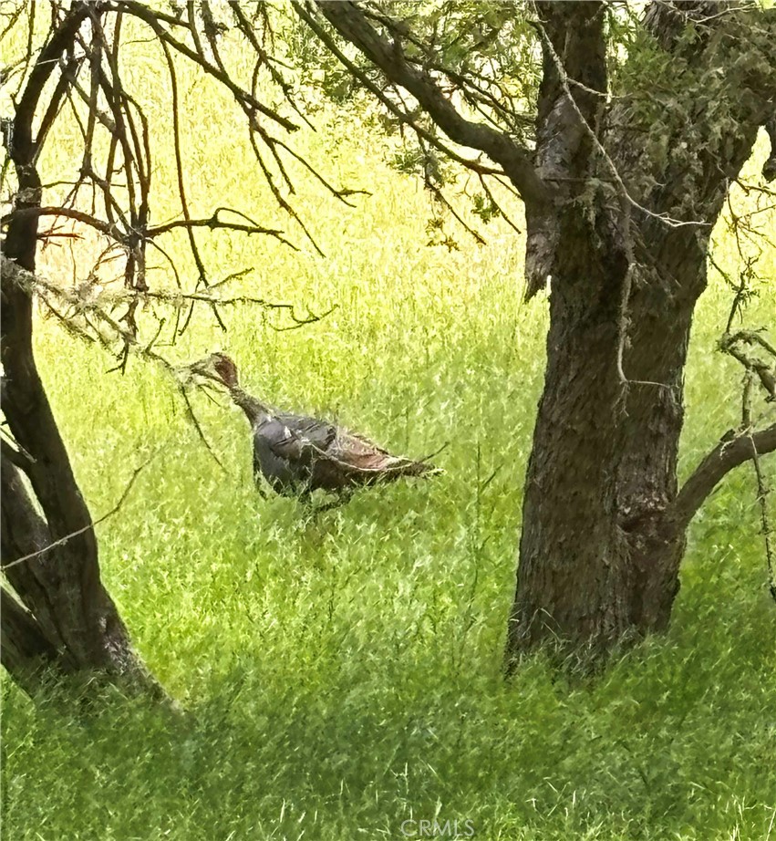 MLS #NS25260636 image #18