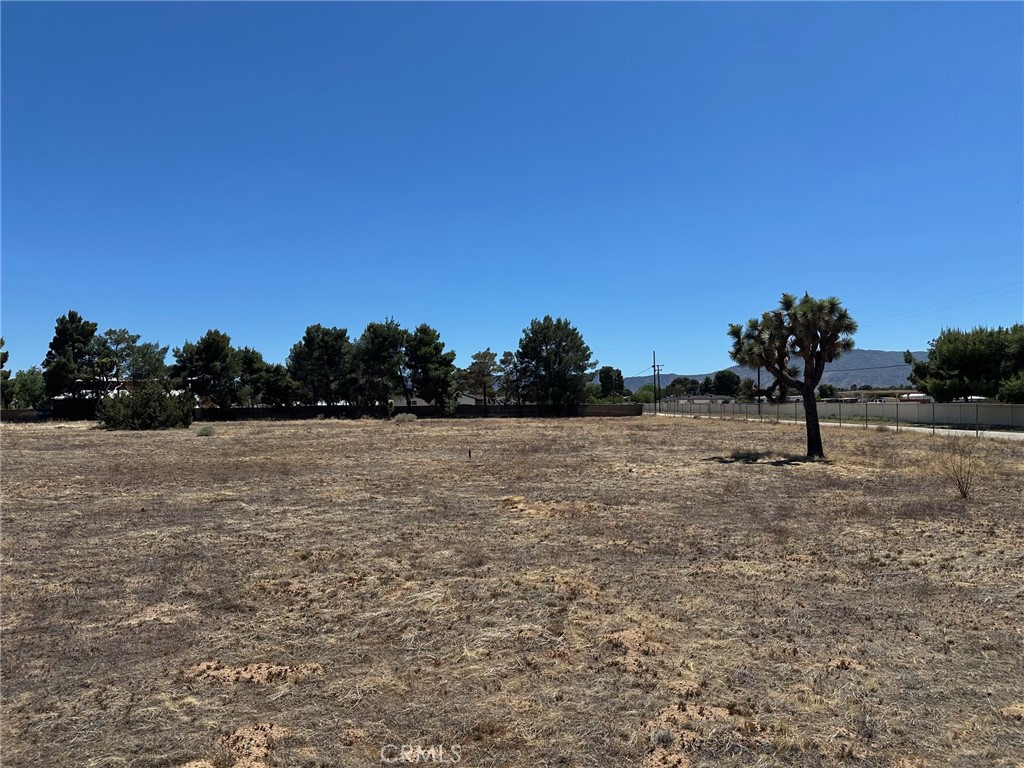 MLS #SR25255276 image #2