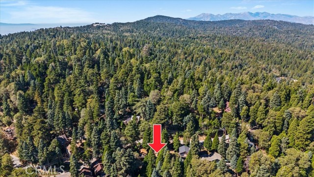 613 E Victoria Court, Lake Arrowhead, CA 92352