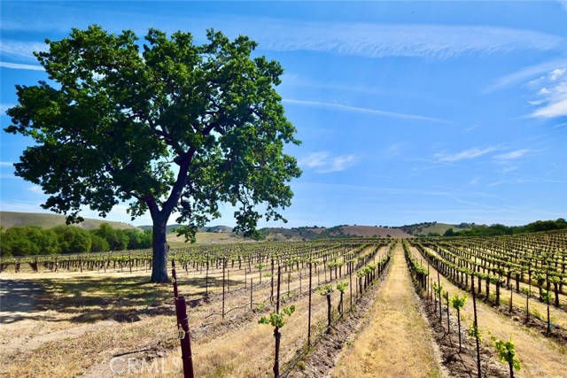 53600 Bradley Lockwood Road, Lockwood CA: https://media.crmls.org/medias/63f58bab-cdfc-4d58-adbe-6328d51f686b.jpg