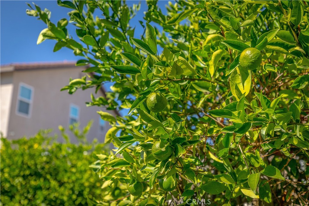 https://media.crmls.org/medias/63fd82cb-c06a-4c1c-845c-c83c319b7f4c.jpg?preset=X-Large