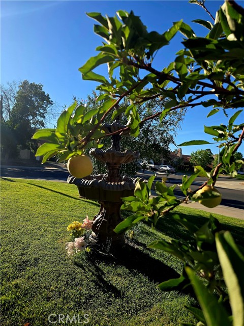 5034 Marseilles Court, Palmdale CA: https://media.crmls.org/medias/64012e7c-a4d4-4911-a69b-6bef42723412.jpg