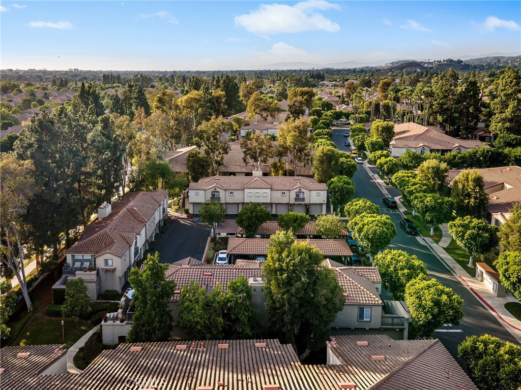 MLS #SW25185679 image #6