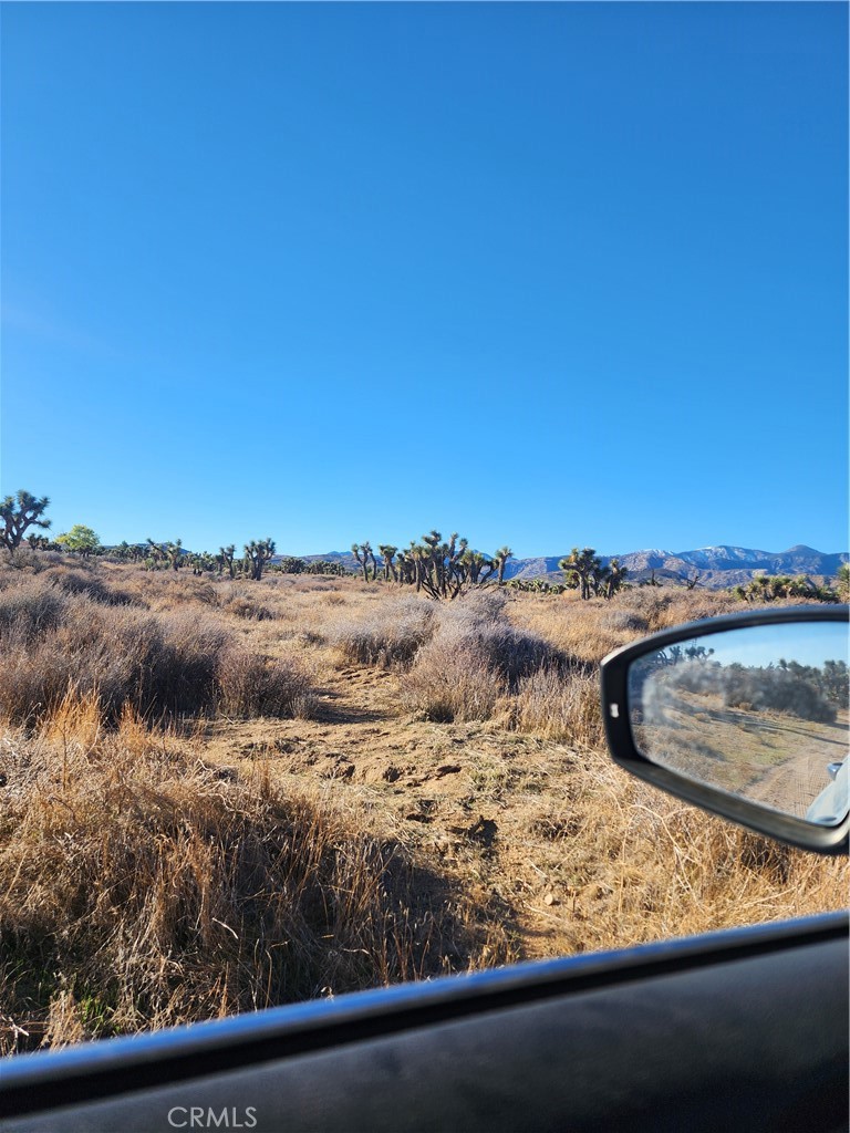 MLS #CV25255822 image #36