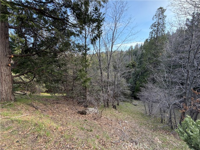 Detail Gallery Image 12 of 12 For 0 Hook Creek, Cedar Glen,  CA 92321 - – Beds | – Baths