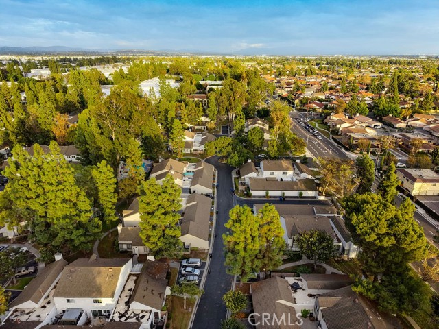 16519 Poppyglen photo 34