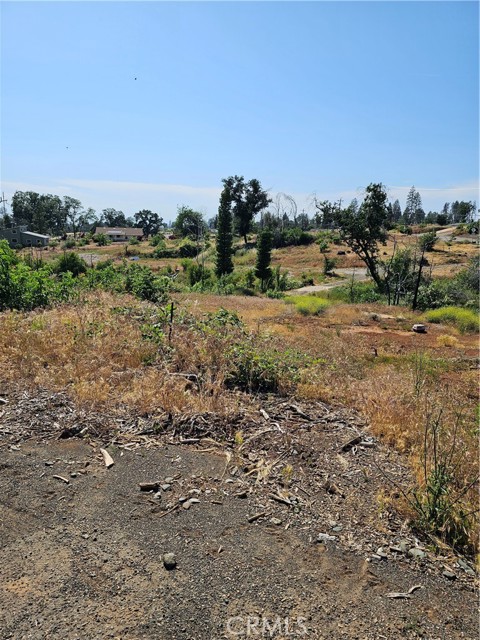 Front Image Thumbnail for CRPA26076633