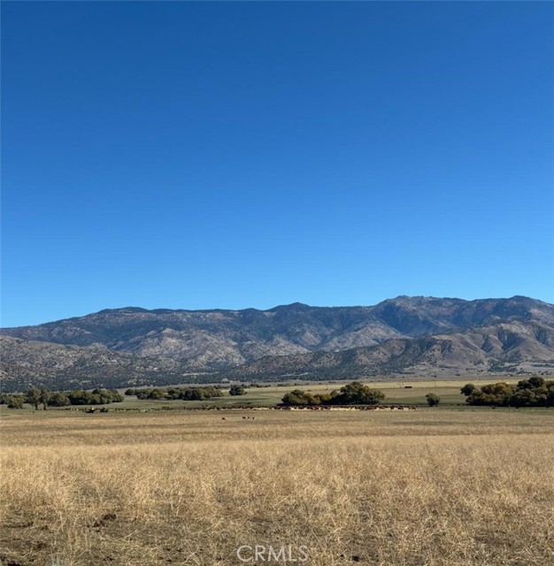 Detail Gallery Image 10 of 50 For 18266 Caliente Creek Rd, Caliente,  CA 93518 - 2 Beds | 2 Baths