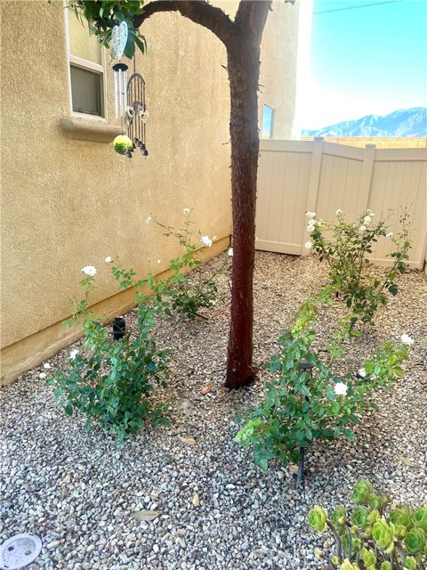 Detail Gallery Image 3 of 38 For 1332 E Rover Ln #E,  Beaumont,  CA 92223 - 4 Beds | 2/1 Baths