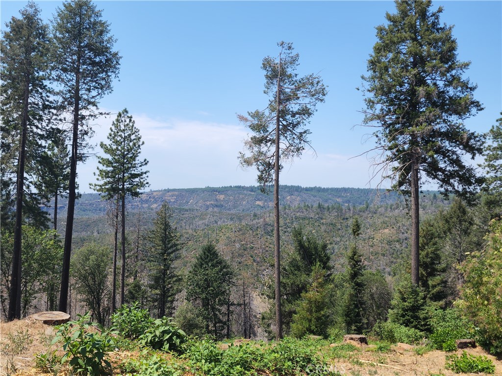 MLS #PA25265672 image #8