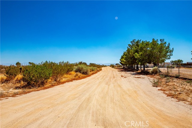  Land for Sale in Rosamond, California
