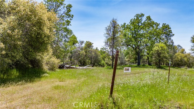 Detail Gallery Image 2 of 33 For 4872 Hirsch Rd, Mariposa,  CA 95338 - – Beds | – Baths